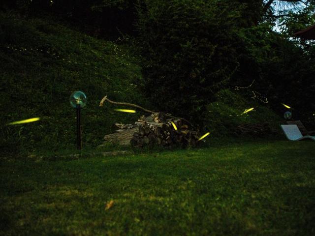 Locanda Montepaolo Dovadola Εξωτερικό φωτογραφία